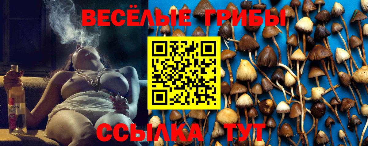 Псилоцибиновые грибы MAGIC MUSHROOMS Избербаш
