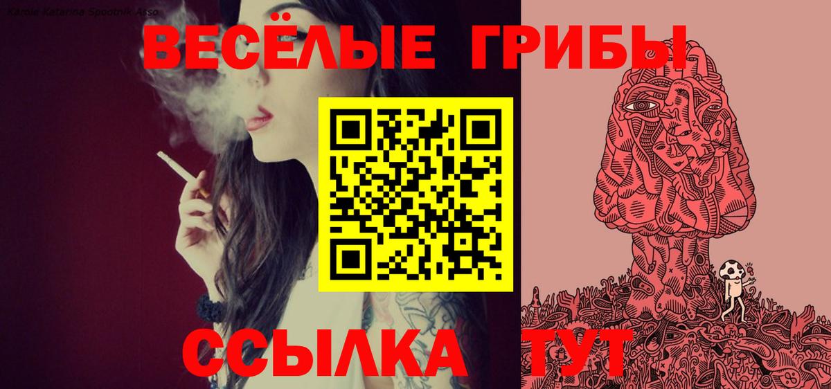 Галлюциногенные грибы мицелий  Вход с VPN  Избербаш  Галлюциногенные грибы GOLDEN TEACHER 